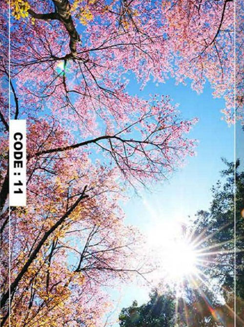 خرید-آسمان-مجازی